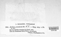 Image Associated With the Occurence